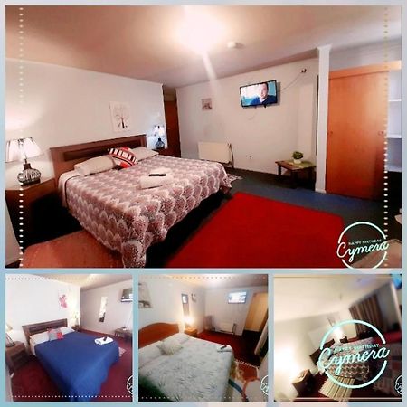Patagonia Magica Daire Punta Arenas Dış mekan fotoğraf